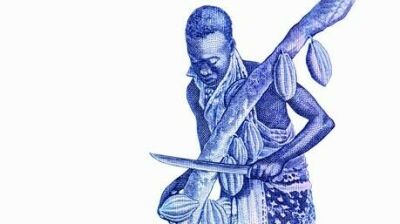 Imagem man-cutting-cocoa-pods-tree-260nw-1823368190